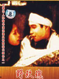 情挑野玫瑰在线观看,浪漫邂逅,激情燃烧的野性之旅 第1张 情挑野玫瑰在线观看,浪漫邂逅,激情燃烧的野性之旅 第1张