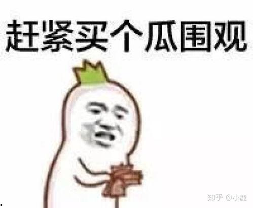 大瓜爆料搞笑段子视频,搞笑段子视频笑翻众人，笑料百出！  第3张