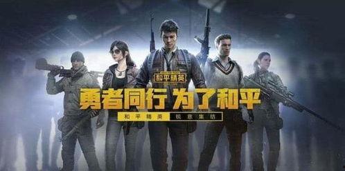 和平精英菜鸟爆料视频,揭秘新手玩家的成长之路 第1张 和平精英菜鸟爆料视频,揭秘新手玩家的成长之路 第1张